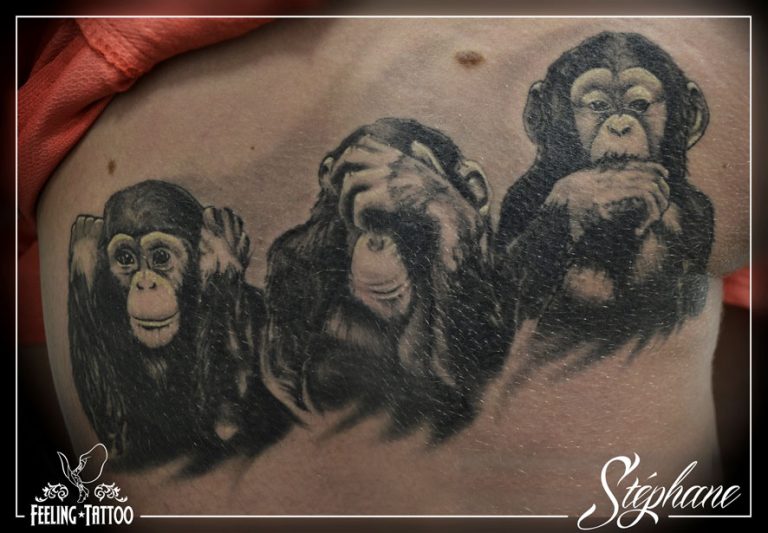 Tatouage - Singes de la vanité en noir et gris réalistes sur la hanche (cicatrisé)
